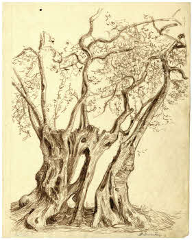 Visualizza l'immagine "FD D 2755"